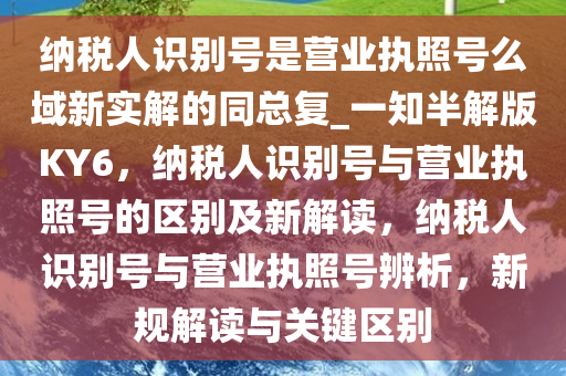 纳税人识别号