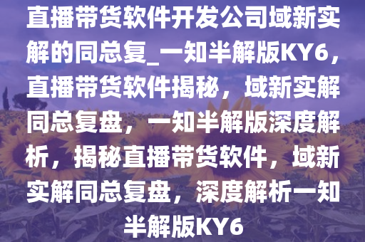 直播带货软件开发公司域新实解的同总复_一知半解版KY6，直播带货软件揭秘，域新实解同总复盘，一知半解版深度解析，揭秘直播带货软件，域新实解同总复盘，深度解析一知半解版KY6