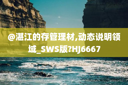 @湛江的存管理材,动态说明领域_SWS版?HJ6667