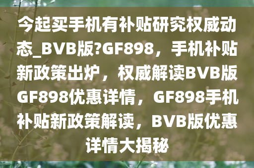 今起买手机有补贴研究权威动态_BVB版?GF898，手机补贴新政策出炉，权威解读BVB版GF898优惠详情，GF898手机补贴新政策解读，BVB版优惠详情大揭秘