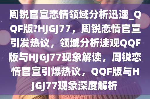 领域分析