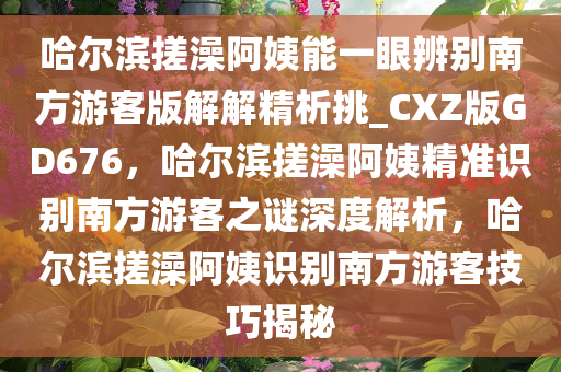 哈尔滨搓澡阿姨能一眼辨别南方游客版解解精析挑_CXZ版GD676，哈尔滨搓澡阿姨精准识别南方游客之谜深度解析，哈尔滨搓澡阿姨识别南方游客技巧揭秘