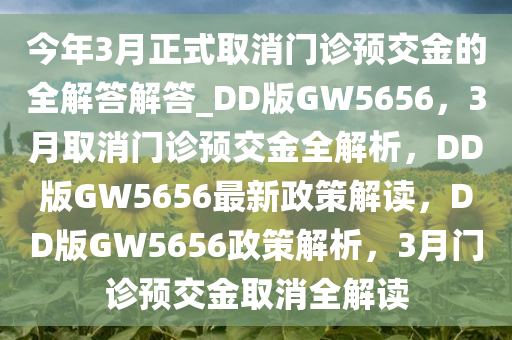 政策解读