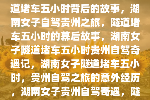 湖南女子自驾回贵州，高速隧道堵车五小时背后的故事，湖南女子自驾贵州之旅，隧道堵车五小时的幕后故事，湖南女子隧道堵车五小时贵州自驾奇遇记，湖南女子隧道堵车五小时，贵州自驾之旅的意外经历，湖南女子贵州自驾奇遇，隧道堵车五小时背后的感人故事