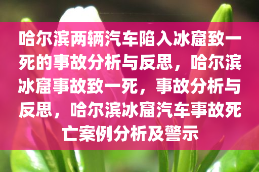 哈尔滨两辆汽车陷入冰窟致一死的事故分析与反思，哈尔滨冰窟事故致一死，事故分析与反思，哈尔滨冰窟汽车事故死亡案例分析及警示