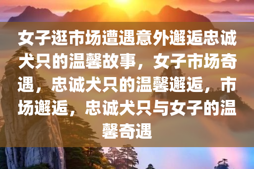 女子逛市场遭遇意外邂逅忠诚犬只的温馨故事，女子市场奇遇，忠诚犬只的温馨邂逅，市场邂逅，忠诚犬只与女子的温馨奇遇
