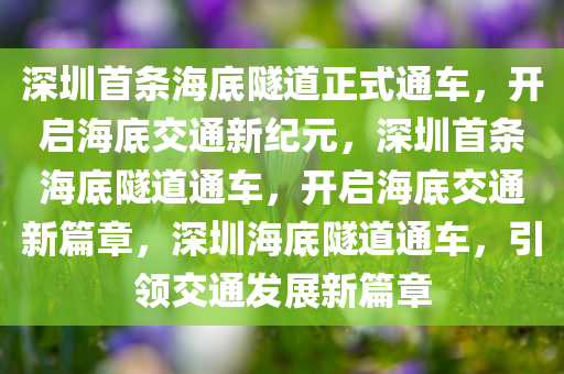 深圳首条海底隧道正式通车，开启海底交通新纪元，深圳首条海底隧道通车，开启海底交通新篇章，深圳海底隧道通车，引领交通发展新篇章