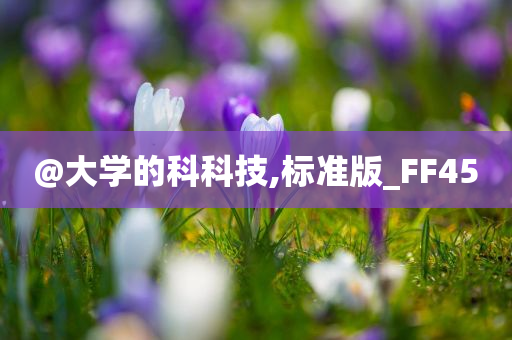 @大学的科科技,标准版_FF45