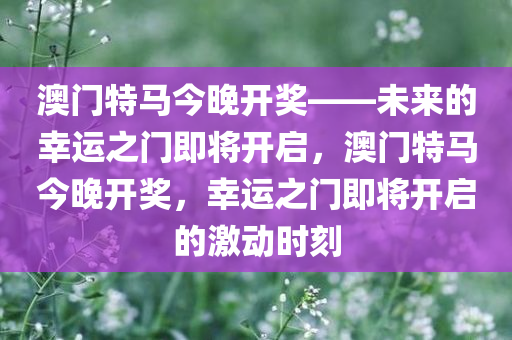 澳门特马今晚开奖——未来的幸运之门即将开启，澳门特马今晚开奖，幸运之门即将开启的激动时刻