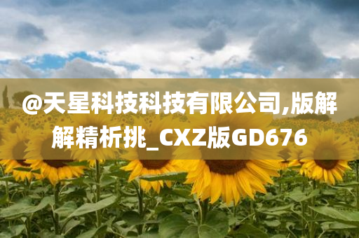 @天星科技科技有限公司,版解解精析挑_CXZ版GD676