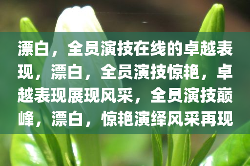 漂白，全员演技在线的卓越表现，漂白，全员演技惊艳，卓越表现展现风采，全员演技巅峰，漂白，惊艳演绎风采再现