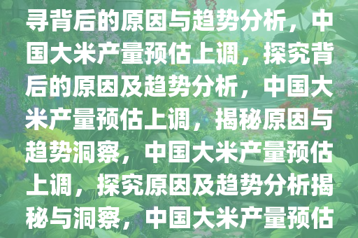 中国大米产量预估略微上调，探寻背后的原因与趋势分析，中国大米产量预估上调，探究背后的原因及趋势分析，中国大米产量预估上调，揭秘原因与趋势洞察，中国大米产量预估上调，探究原因及趋势分析揭秘与洞察，中国大米产量预估上调，揭秘原因与趋势洞察
