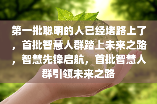 第一批聪明的人已经堵路上了，首批智慧人群踏上未来之路，智慧先锋启航，首批智慧人群引领未来之路