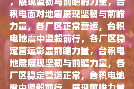 台积电地震后各厂区营运正常，展现坚韧与前瞻的力量，台积电面对地震展现坚韧与前瞻力量，各厂区正常营运，台积电地震中坚毅前行，各厂区稳定营运彰显前瞻力量，台积电地震展现坚韧与前瞻力量，各厂区稳定营运正常，台积电地震中坚毅前行，展现前瞻力量稳定营运