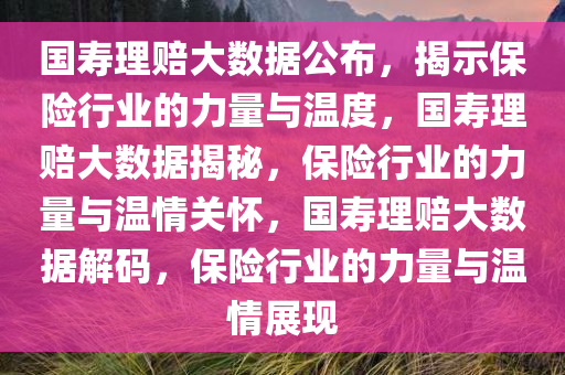 国寿理赔大数据公布，揭示保险行业的力量与温度，国寿理赔大数据揭秘，保险行业的力量与温情关怀，国寿理赔大数据解码，保险行业的力量与温情展现