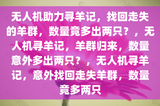无人机助力寻羊记，找回走失的羊群，数量竟多出两只？，无人机寻羊记，羊群归来，数量意外多出两只？，无人机寻羊记，意外找回走失羊群，数量竟多两只