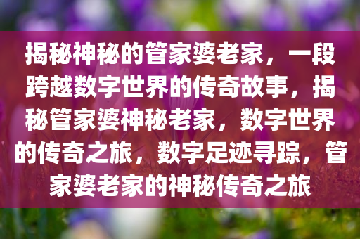 揭秘神秘的管家婆老家，一段跨越数字世界的传奇故事，揭秘管家婆神秘老家，数字世界的传奇之旅，数字足迹寻踪，管家婆老家的神秘传奇之旅