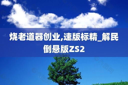 烧老道器创业,速版标精_解民倒悬版ZS2