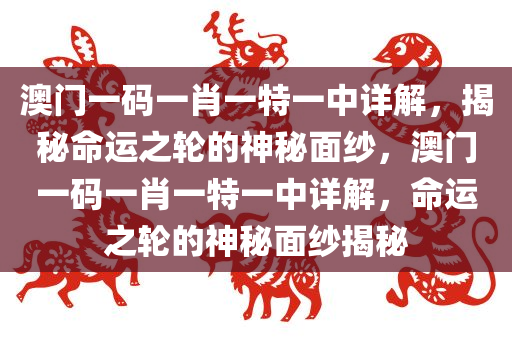 澳门一码一肖一特一中详解，揭秘命运之轮的神秘面纱，澳门一码一肖一特一中详解，命运之轮的神秘面纱揭秘