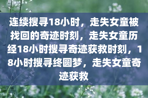 连续搜寻18小时，走失女童被找回的奇迹时刻，走失女童历经18小时搜寻奇迹获救时刻，18小时搜寻终圆梦，走失女童奇迹获救