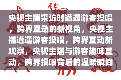 央视主播采访时遭遇游客投喂，跨界互动的新视角，央视主播遭遇游客投喂，跨界互动新观察，央视主播与游客趣味互动，跨界投喂背后的温暖瞬间