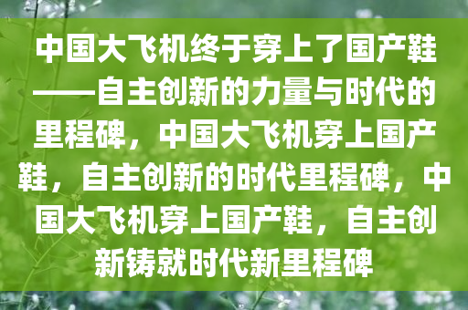 中国大飞机终于穿上了国产鞋——自主创新的力量与时代的里程碑，中国大飞机穿上国产鞋，自主创新的时代里程碑，中国大飞机穿上国产鞋，自主创新铸就时代新里程碑