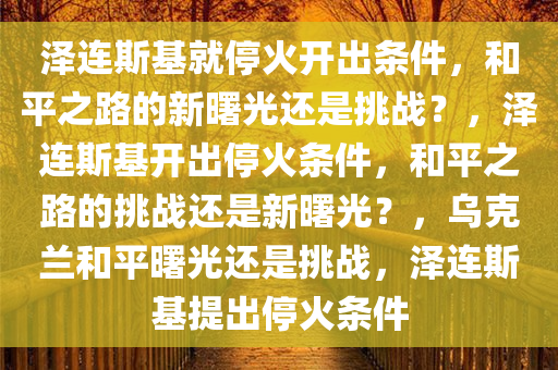 泽连斯基就停火开出条件，和平之路的新曙光还是挑战？，泽连斯基开出停火条件，和平之路的挑战还是新曙光？，乌克兰和平曙光还是挑战，泽连斯基提出停火条件