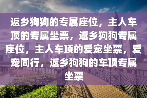 返乡狗狗的专属座位，主人车顶的专属坐票，返乡狗狗专属座位，主人车顶的爱宠坐票，爱宠同行，返乡狗狗的车顶专属坐票
