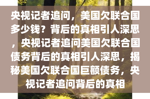 央视记者追问，美国欠联合国多少钱？背后的真相引人深思，央视记者追问美国欠联合国债务背后的真相引人深思，揭秘美国欠联合国巨额债务，央视记者追问背后的真相