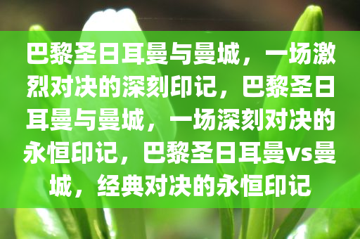 guozhejia 第20页