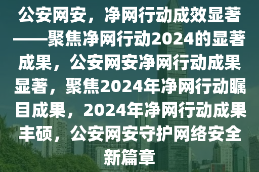 公安网安，净网行动成效显著——聚焦净网行动2024的显著成果，公安网安净网行动成果显著，聚焦2024年净网行动瞩目成果，2024年净网行动成果丰硕，公安网安守护网络安全新篇章