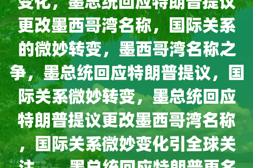 墨总统回应特朗普提议更改墨西哥湾名称，国际关系的微妙变化，墨总统回应特朗普提议更改墨西哥湾名称，国际关系的微妙转变，墨西哥湾名称之争，墨总统回应特朗普提议，国际关系微妙转变，墨总统回应特朗普提议更改墨西哥湾名称，国际关系微妙变化引全球关注。，墨总统回应特朗普更名墨西哥湾，国际关系微妙变化引发全球关注