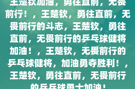 王楚钦加油，勇往直前，无畏前行！，王楚钦，勇往直前，无畏前行的斗志，王楚钦，勇往直前，无畏前行的乒乓球健将加油！，王楚钦，无畏前行的乒乓球健将，加油勇夺胜利！，王楚钦，勇往直前，无畏前行的乒乓球勇士加油！