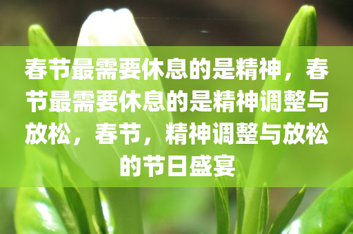 春节最需要休息的是精神，春节最需要休息的是精神调整与放松，春节，精神调整与放松的节日盛宴