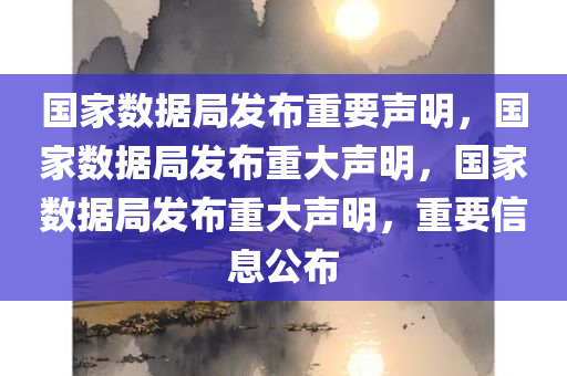 国家数据局发布重要声明，国家数据局发布重大声明，国家数据局发布重大声明，重要信息公布