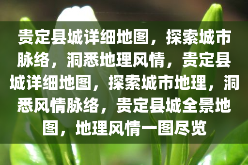 贵定县城详细地图，探索城市脉络，洞悉地理风情，贵定县城详细地图，探索城市地理，洞悉风情脉络，贵定县城全景地图，地理风情一图尽览
