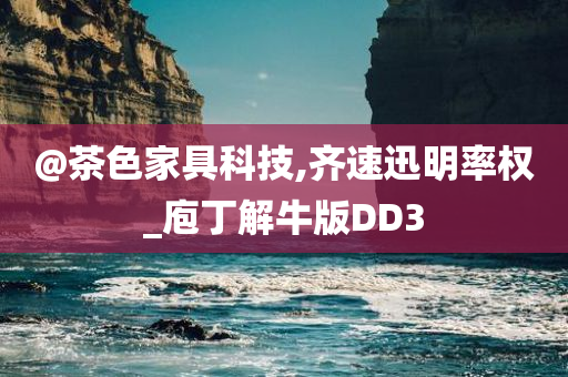 @茶色家具科技,齐速迅明率权_庖丁解牛版DD3