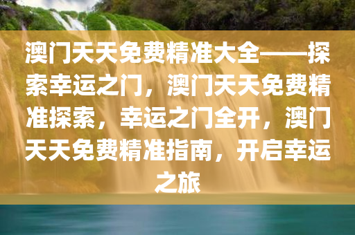 澳门天天免费精准大全——探索幸运之门，澳门天天免费精准探索，幸运之门全开，澳门天天免费精准指南，开启幸运之旅