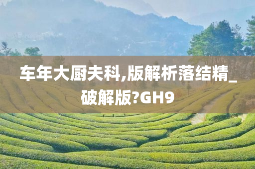 车年大厨夫科,版解析落结精_破解版?GH9