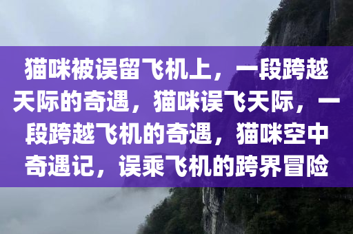 猫咪被误留飞机上，一段跨越天际的奇遇，猫咪误飞天际，一段跨越飞机的奇遇，猫咪空中奇遇记，误乘飞机的跨界冒险