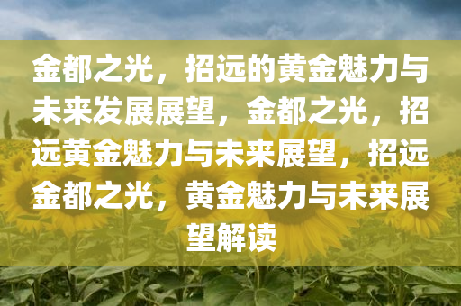 金都之光，招远的黄金魅力与未来发展展望，金都之光，招远黄金魅力与未来展望，招远金都之光，黄金魅力与未来展望解读
