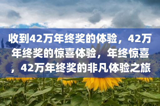 收到42万年终奖的体验，42万年终奖的惊喜体验，年终惊喜，42万年终奖的非凡体验之旅