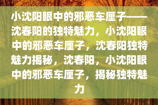 小沈阳眼中的邪恶车厘子——沈春阳的独特魅力，小沈阳眼中的邪恶车厘子，沈春阳独特魅力揭秘，沈春阳，小沈阳眼中的邪恶车厘子，揭秘独特魅力