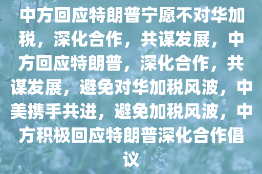 中方回应特朗普宁愿不对华加税，深化合作，共谋发展，中方回应特朗普，深化合作，共谋发展，避免对华加税风波，中美携手共进，避免加税风波，中方积极回应特朗普深化合作倡议