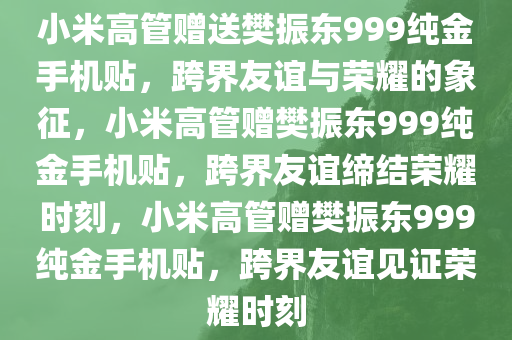 小米高管赠送樊振东999纯金手机贴，跨界友谊与荣耀的象征，小米高管赠樊振东999纯金手机贴，跨界友谊缔结荣耀时刻，小米高管赠樊振东999纯金手机贴，跨界友谊见证荣耀时刻