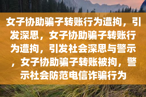 女子协助骗子转账行为遭拘，引发深思，女子协助骗子转账行为遭拘，引发社会深思与警示，女子协助骗子转账被拘，警示社会防范电信诈骗行为