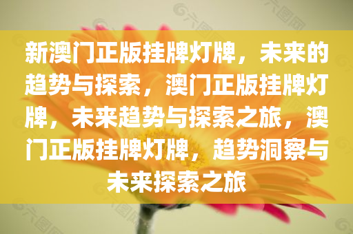 新澳门正版挂牌灯牌，未来的趋势与探索，澳门正版挂牌灯牌，未来趋势与探索之旅，澳门正版挂牌灯牌，趋势洞察与未来探索之旅