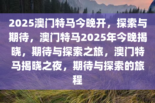 2025澳门特马今晚开，探索与期待，澳门特马2025年今晚揭晓，期待与探索之旅，澳门特马揭晓之夜，期待与探索的旅程