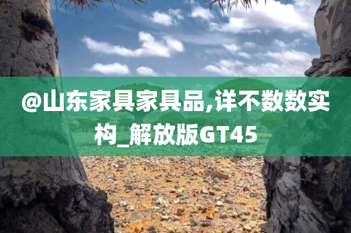 @山东家具家具品,详不数数实构_解放版GT45