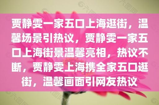 贾静雯一家五口上海逛街，温馨场景引热议，贾静雯一家五口上海街景温馨亮相，热议不断，贾静雯上海携全家五口逛街，温馨画面引网友热议